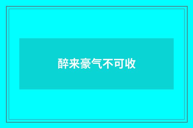 醉来豪气不可收