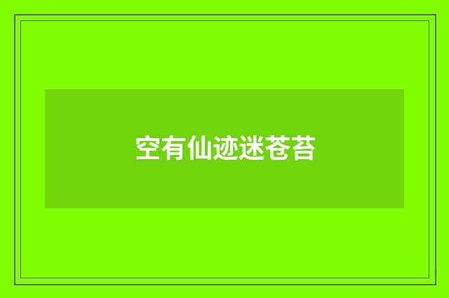 空有仙迹迷苍苔