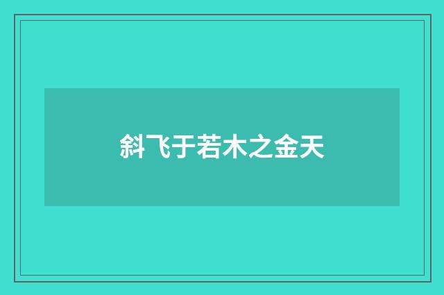 斜飞于若木之金天