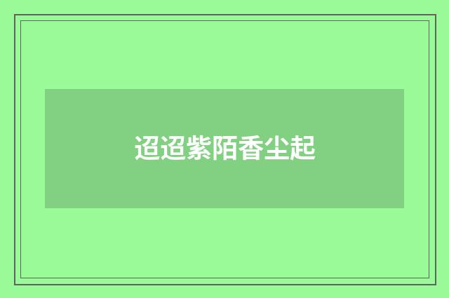 迢迢紫陌香尘起