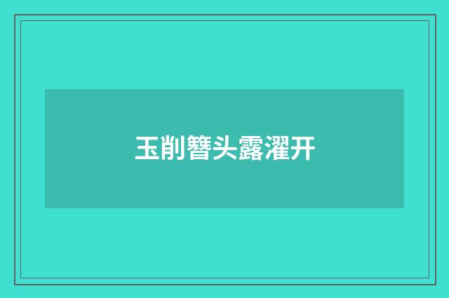 玉削簪头露濯开