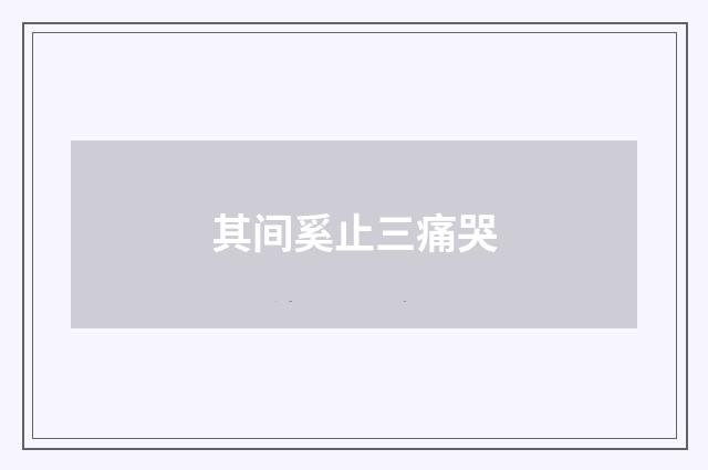 其间奚止三痛哭