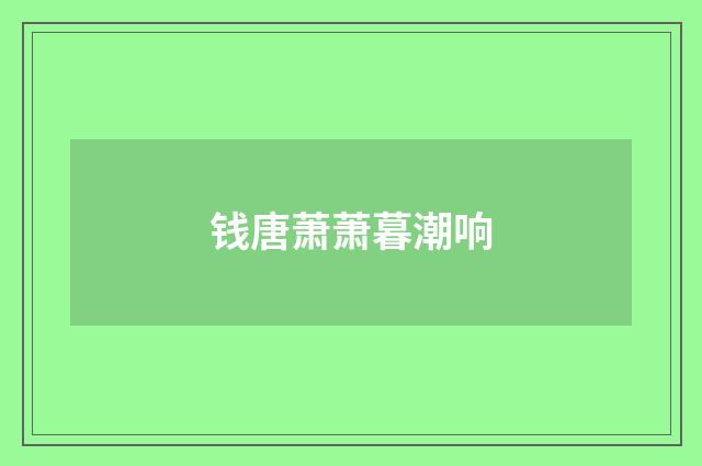 钱唐萧萧暮潮响
