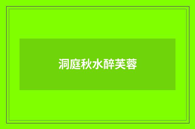 洞庭秋水醉芙蓉