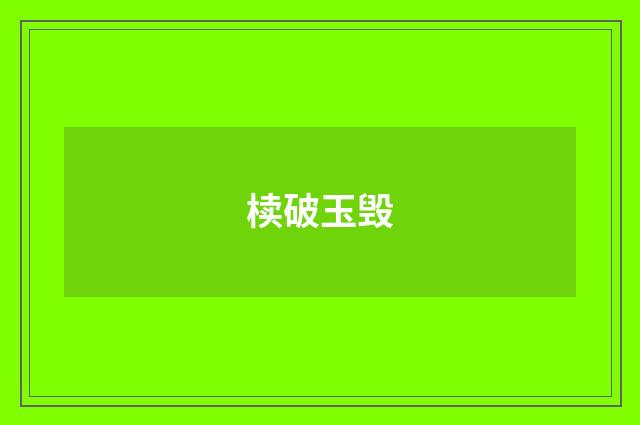 椟破玉毁