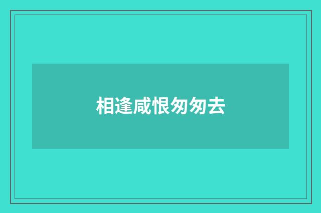 相逢咸恨匆匆去