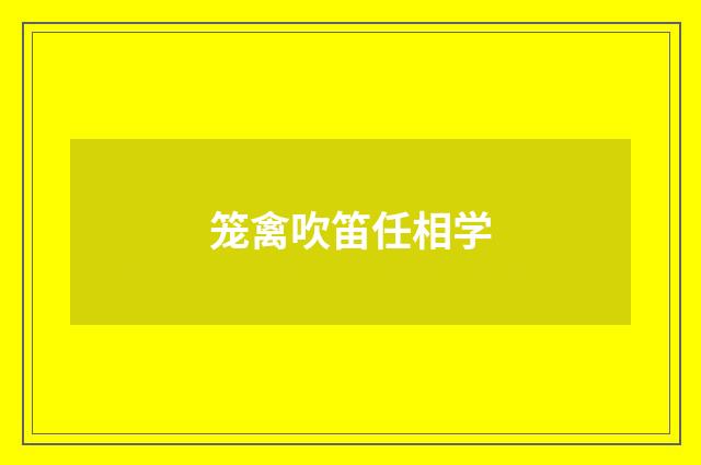 笼禽吹笛任相学
