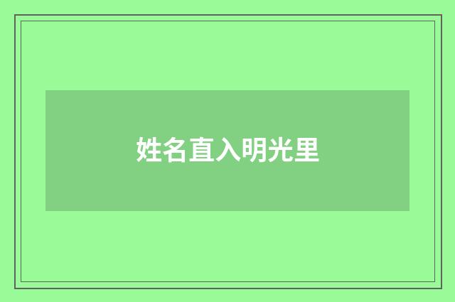 姓名直入明光里
