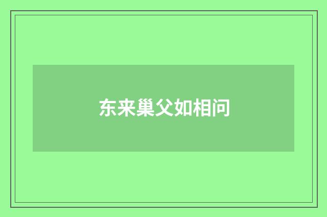 东来巢父如相问