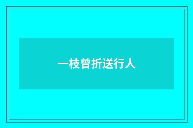 一枝曾折送行人
