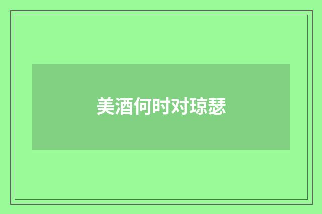 美酒何时对琼瑟