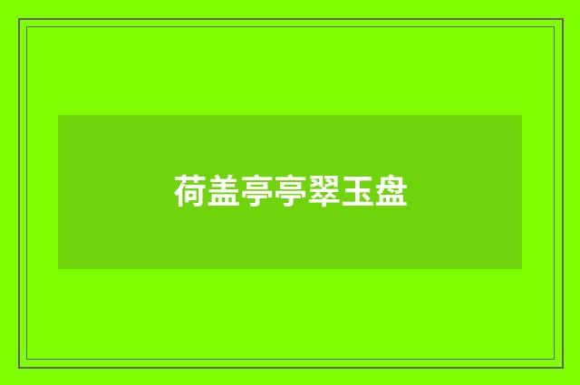 荷盖亭亭翠玉盘