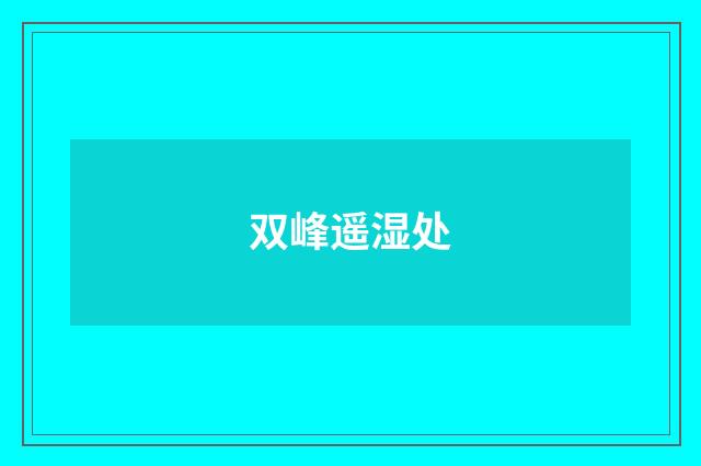 双峰遥湿处