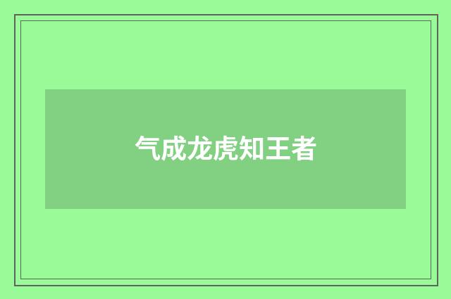气成龙虎知王者