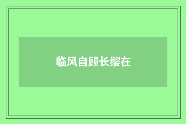 临风自顾长缨在