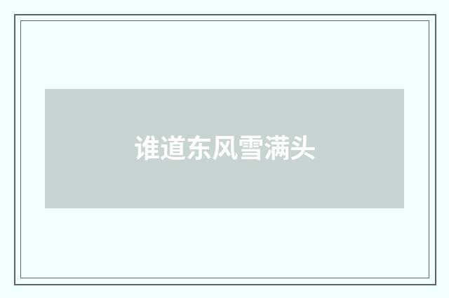 谁道东风雪满头