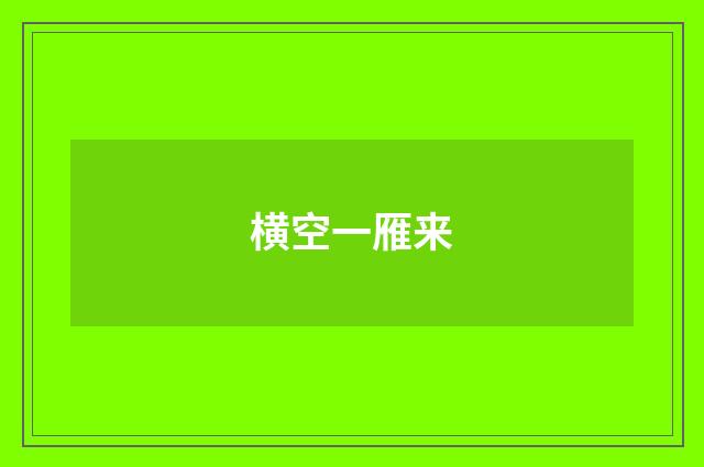 横空一雁来