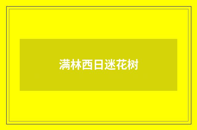 满林西日迷花树