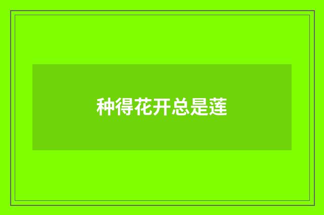 种得花开总是莲