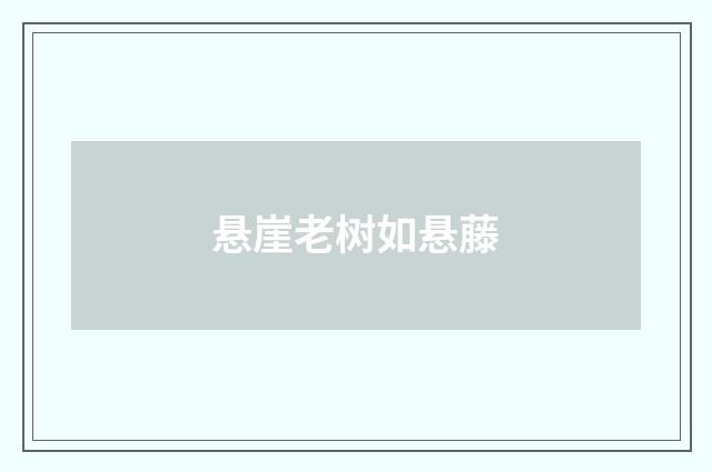 悬崖老树如悬藤