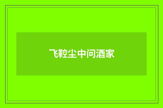 飞鞚尘中问酒家