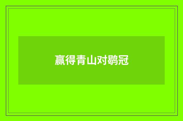 赢得青山对鹖冠