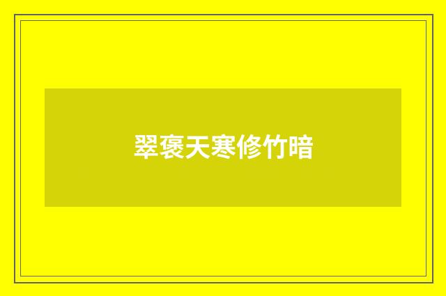 翠褒天寒修竹暗