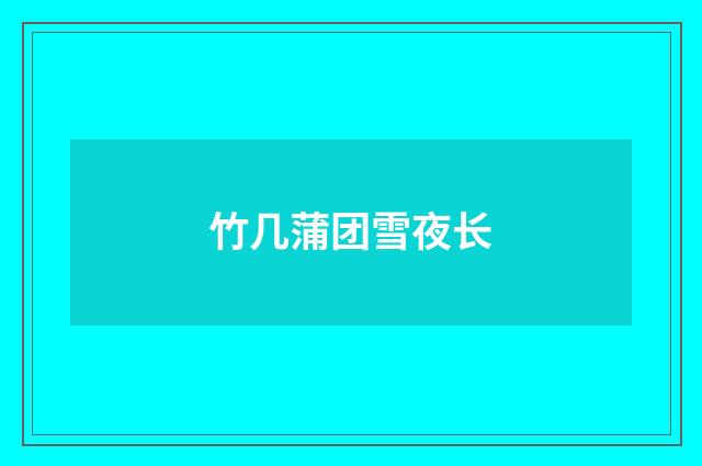 竹几蒲团雪夜长