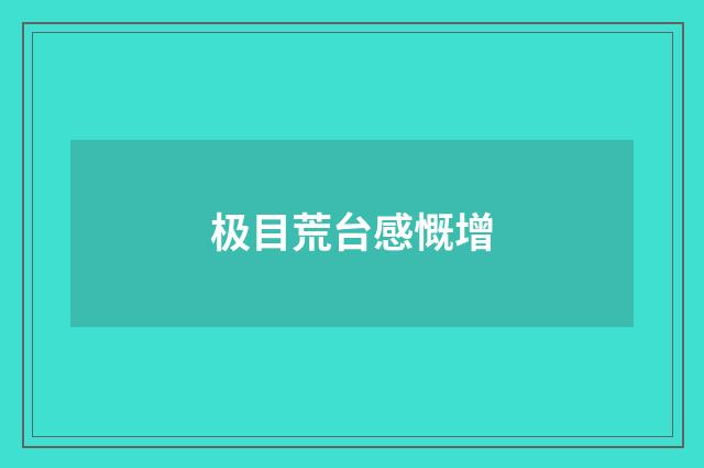 极目荒台感慨增