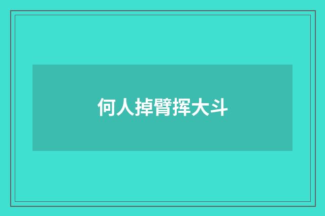 何人掉臂挥大斗