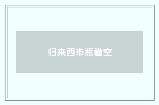 归来西市瓶罍空