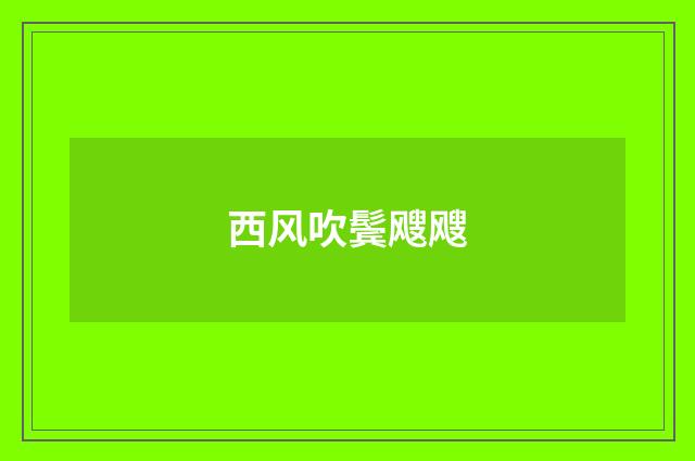 西风吹鬓飕飕