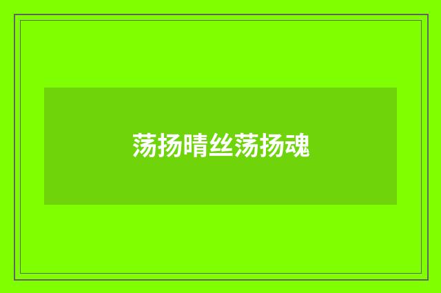荡扬晴丝荡扬魂