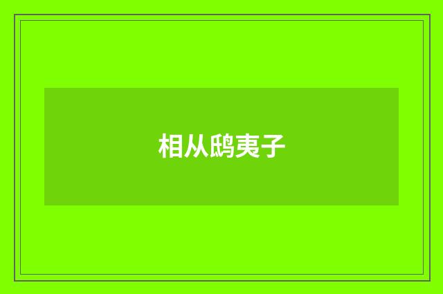 相从鸱夷子