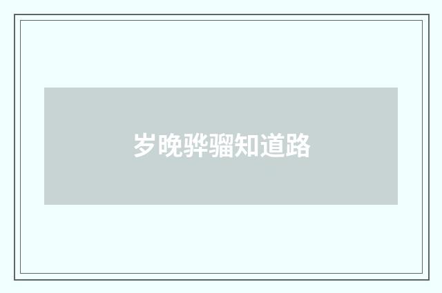 岁晚骅骝知道路