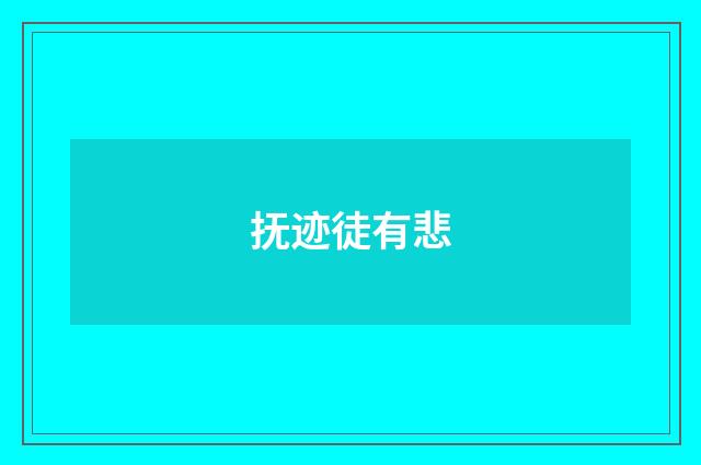 抚迹徒有悲