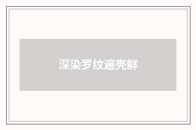 深染罗纹遍壳鲜