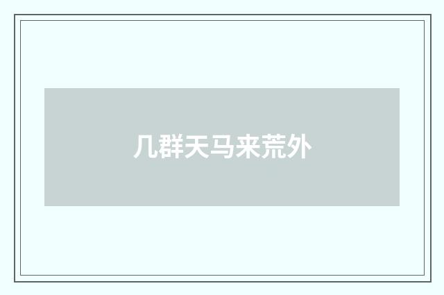 几群天马来荒外