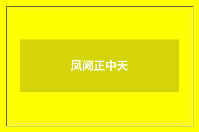 凤阙正中天