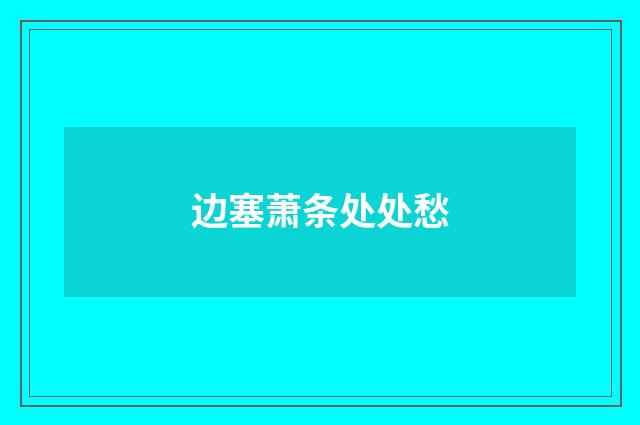 边塞萧条处处愁