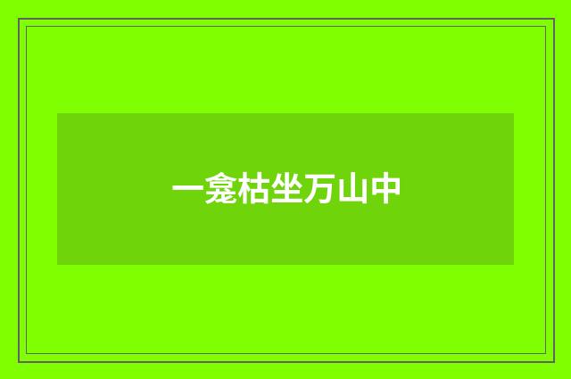 一龛枯坐万山中