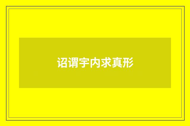 诏谓宇内求真形