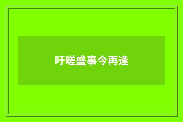 吁嗟盛事今再逢