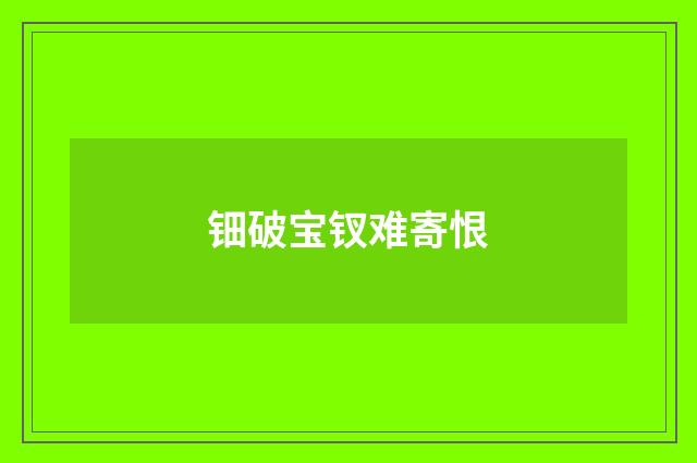 钿破宝钗难寄恨