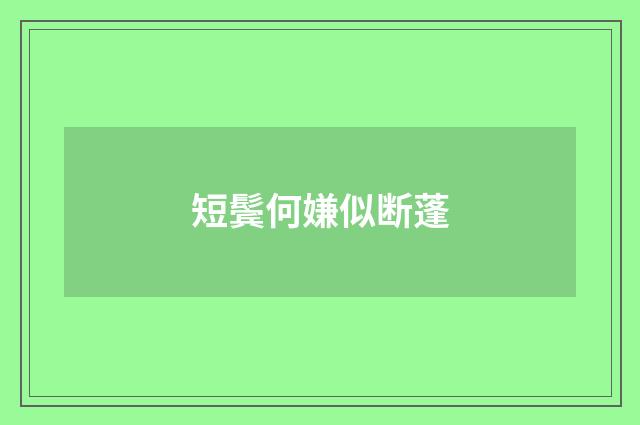 短鬓何嫌似断蓬