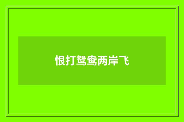 恨打鸳鸯两岸飞