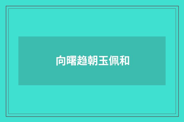 向曙趋朝玉佩和