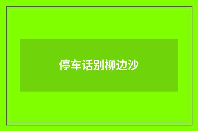 停车话别柳边沙