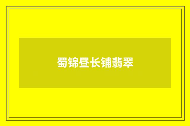 蜀锦昼长铺翡翠