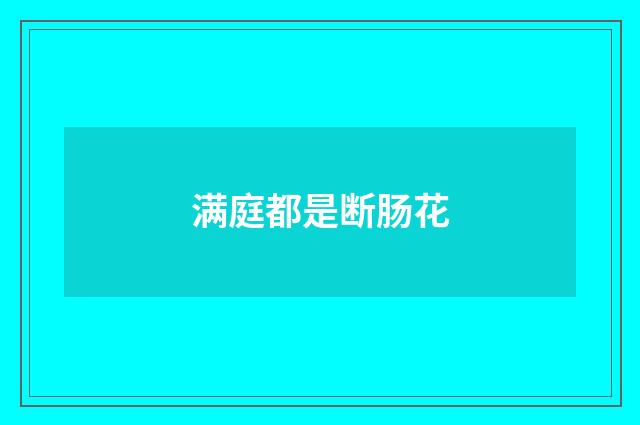 满庭都是断肠花